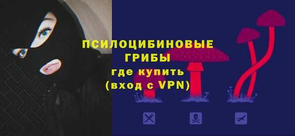 герыч Арсеньев