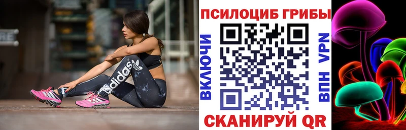 MEGA ссылки  Северобайкальск  Псилоцибиновые грибы прущие грибы  закладки 